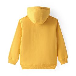 Pine Kids Knit Full Sleeves Hooded Solid Colour Sweatshirt with Kangaloo Pockets- Light Green