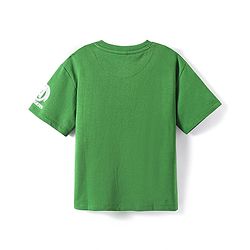 Pine Kids Marvel Terry Knit Half Drop Shoulder Sleeves T-Shirts with Avengers Graphics & Reversible Sequins Detailing - Green