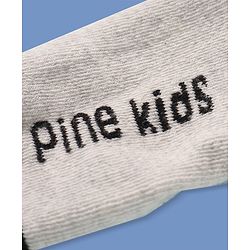 Pine Kids Knit Ankle Length Socks with Brand Name Design Pack of 3 (Color May Vary)