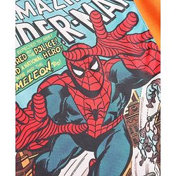 Pine Kids Marvel Single Jersey Knit Full Sleeves T-Shirt with Spiderman Graphics - Orange