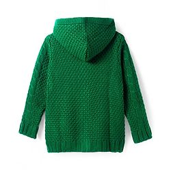 Pine Kids Knitted Full Sleeves Hooded Front Open Sweater with Cable Knit Design - Green