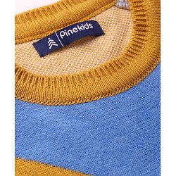 Pine Kids Knitted Raglan Full Sleeves Chervon Designed Pullover Sweater - White Blue & Golden