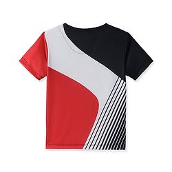 Pine Active Knit Half Sleeves T-Shirt With Colour Block & Text Print - Multi Colour