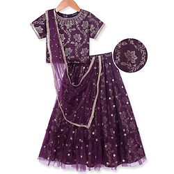 Pine Kids Woven Half Sleeves Floral Foil Printed Choli Lehenga & Dupatta  Set with Sequins - Wine