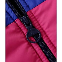 Pine Kids Woven Full Sleeves Front Open Padded Hooded Jacket With Colour Block Design & Butterfly Embroidery - Pink