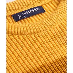Pine Kids Knitted Full Sleeves Striped Pullover - Multicolor