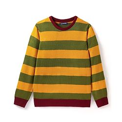 Pine Kids Knitted Full Sleeves Striped Pullover - Multicolor