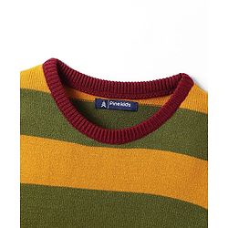 Pine Kids Knitted Full Sleeves Striped Pullover - Multicolor