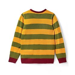 Pine Kids Knitted Full Sleeves Striped Pullover - Multicolor