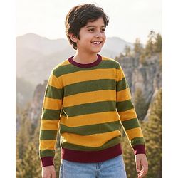 Pine Kids Knitted Full Sleeves Striped Pullover - Multicolor