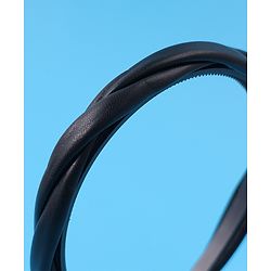 Pine Kids Hair Bands Free Size - Black