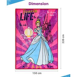 Pine Kids Disney Single Ply Fleece Blanket in Disney Princess Print - Pink