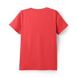 Pine Kids Cotton Knit Half Sleeves T-Shirts With  Race the Waves Text Print Pack of 5 - Red Limegreen & Blue