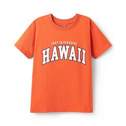 Pine Kids Cotton Knit Half Sleeves T-Shirts With Cool Dude Text Print Pack of 5 - Plum Orange & Light Blue