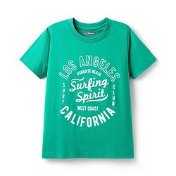 Pine Kids Cotton Knit Half Sleeves T-Shirts With Cool Dude Text Print Pack of 5 - Plum Orange & Light Blue