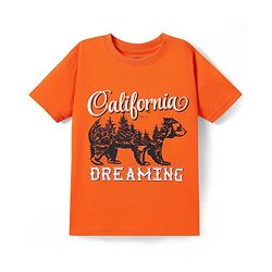 Pine Kids Cotton Knit Half Sleeves T-Shirt with Text Print Pack of 3 - Orange Yellow & Teal Blue