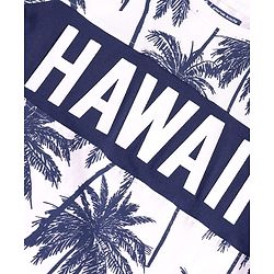 Pine Kids Cotton Knit  Half Sleeves  T-Shirt & Shorts Set with Hawaii Text Print - Navy Blue