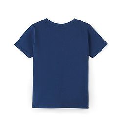 Pine Kids Cotton Knit Half Sleeves T-Shirt With Hoop Shooter Text Print - Blue
