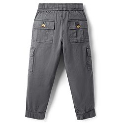 Pine Kids Woven Full Length Solid Trouser With Cargo Pockets - Grey