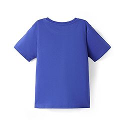 Pine Kids Cotton Knit Half Drop Shoulder Sleeves T-Shirt With The Game Text Print - Blue