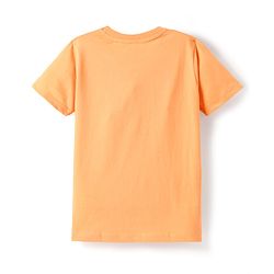 Pine Kids Cotton Knit Half Sleeves Printed T-Shirts Pack of 5 - Multicolor