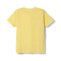 Pine Kids Cotton Knit Half Sleeves Printed T-Shirts Pack of 5 - Multicolor