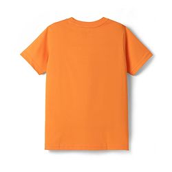 Pine Kids Cotton Knit Half Sleeves Printed T-Shirts Pack of 5 - Multicolor