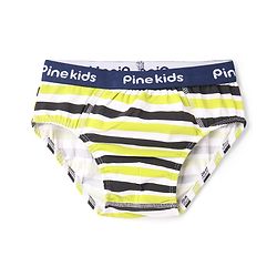 Pine Kids Cotton Elastane Knit Briefs Pack of 3 (Color May Vary)