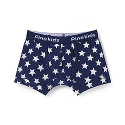 Pine Kids Cotton Knit Trunks With Stripes & Star Print Pack Of 3 - Color May Vary