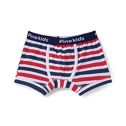 Pine Kids Cotton Knit Trunks With Stripes & Star Print Pack Of 3 - Color May Vary
