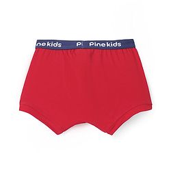 Pine Kids Cotton Knit Trunks With Stripes & Star Print Pack Of 3 - Color May Vary