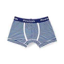 Pine Kids Cotton Knit Trunks With Stripes & Star Print Pack Of 3 - Color May Vary