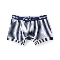 Pine Kids Cotton Knit Trunks With Stripes Pack Of 3 - Color May Vary