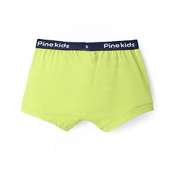 Pine Kids Cotton Knit Trunks With Stripes Pack Of 3 - Color May Vary