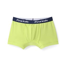 Pine Kids Cotton Knit Trunks With Stripes Pack Of 3 - Color May Vary