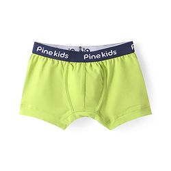 Pine Kids Cotton Knit Trunks with Stripes Pack of 3 (Color May Vary)