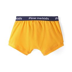 Pine Kids Cotton Knit Trunks with Stripes Pack of 3 (Color May Vary)