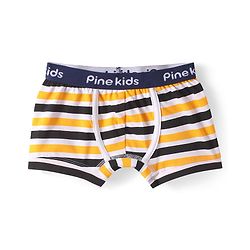 Pine Kids Cotton Knit Trunks with Stripes Pack of 3 (Color May Vary)