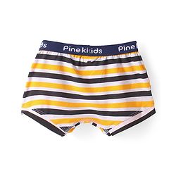 Pine Kids Cotton Knit Trunks with Stripes Pack of 3 (Color May Vary)