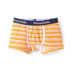 Pine Kids Cotton Knit Trunk with Stripes Pack of 3 (Color May Vary)