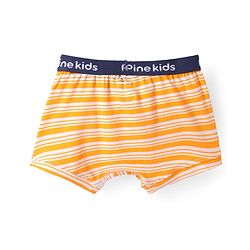 Pine Kids Cotton Knit Trunk with Stripes Pack of 3 (Color May Vary)