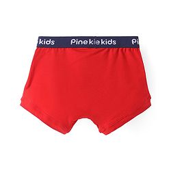 Pine Kids Cotton Knit Trunk with Stripes Pack of 3 (Color May Vary)