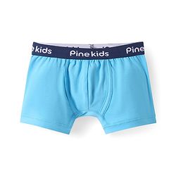 Pine Kids Cotton Knit Trunk with Stripes Pack of 3 (Color May Vary)