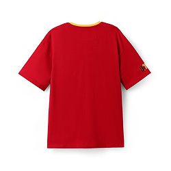 Pine Kids Marvel Terry Knit Half Sleeves Drop Shoulder Light Oversize T-Shirt With Iron Man Graphic & Gold Foil Detailing - Red