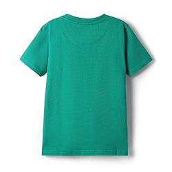 Pine Kids Cotton Knit Half Sleeves T-Shirt With Lets Go Ride Text Print - Mint