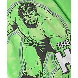 Pine Kids Marvel Terry Knit Half Sleeves Oversized And Drop Shoulder T-Shirt With Front And Back Avenger Hulk Graphics And Badge Detailing - Light Green