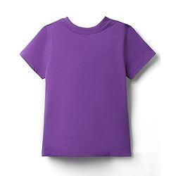 Pine Kids Cotton Knit Half Sleeves T-Shirt with Future Dream Text Print - Purple