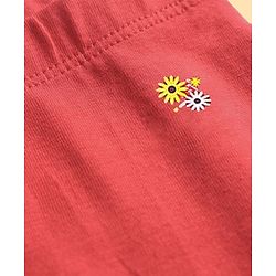 Pine Kids Cotton Knit Panties with Floral Print Pack of 3 - Color May Vary