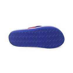 Pine Kids Slip On Flip Flops  with Stars Print - Light Blue & Red