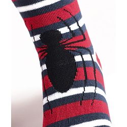 Pine Kids Knit Antibacterial Socks With Spider Man Graphics Pack Of 3 - Red Blue & Green
